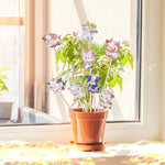 8 Pièces Vaches Mignonnes Broderie Diamant Piquets de Jardin