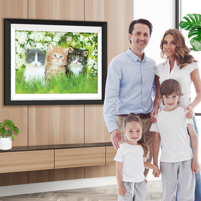 Trois Chatons Mignons sur la Pelouse Verdoyante Broderie Diamant
