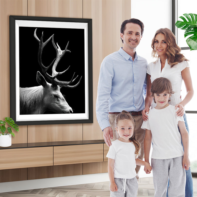 Renne Blanc et Noir Broderie Diamant