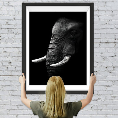 Éléphant Blanc et Noir Broderie Diamant