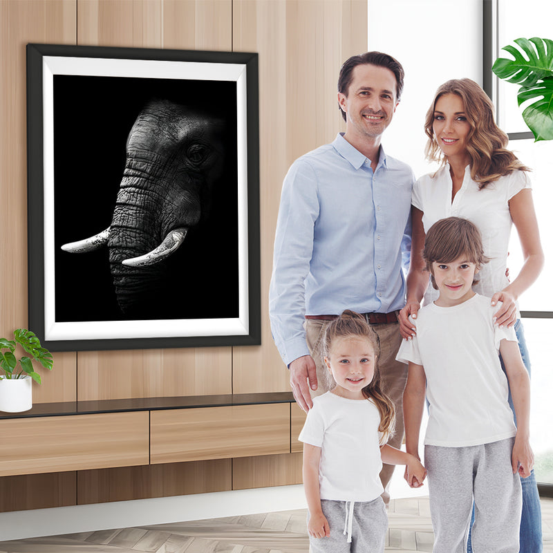 Éléphant Blanc et Noir Broderie Diamant