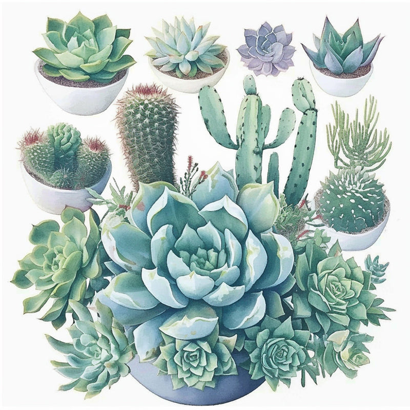 Plantes Succulentes Broderie Diamant