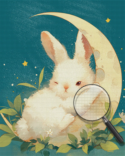 Lapin et Lune Broderie Diamant