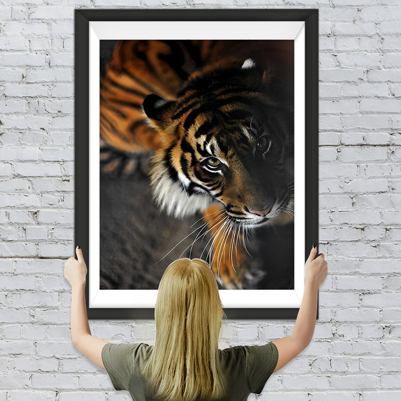 Tigre dans l&