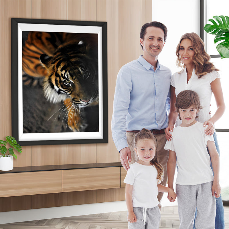 Tigre dans l&