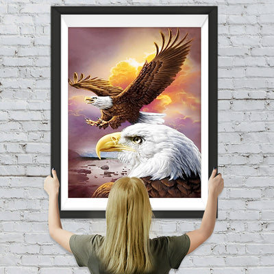 Aigles dans la Plage de la Rivière Broderie Diamant
