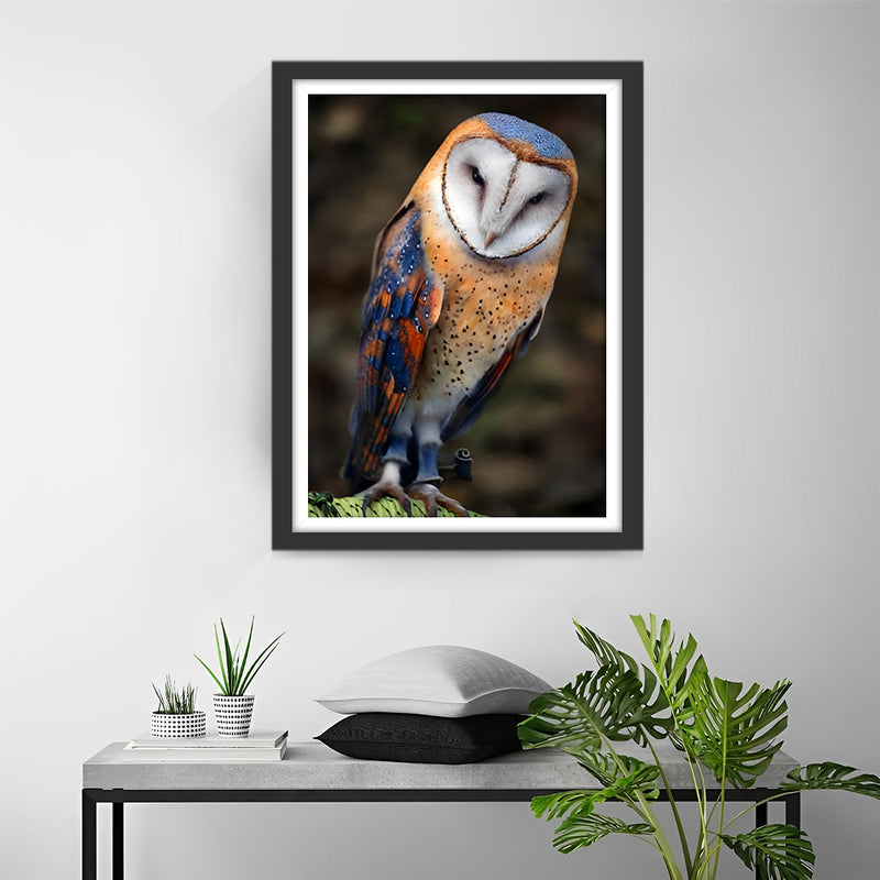 Hibou Orange et Bleu Broderie Diamant