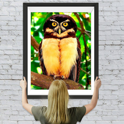 Hibou Jaune et Noir Broderie Diamant