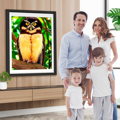 Hibou Jaune et Noir Broderie Diamant