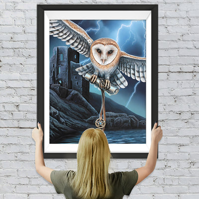 Hibou Faisant la Navette dans les Foudre Broderie Diamant