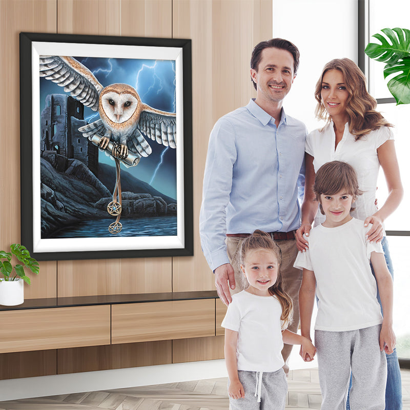 Hibou Faisant la Navette dans les Foudre Broderie Diamant