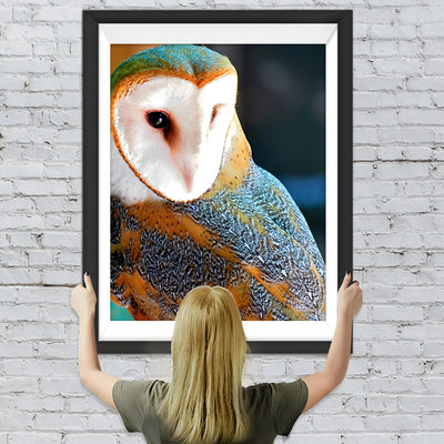 Hibou avec le Visage Blanc Broderie Diamant