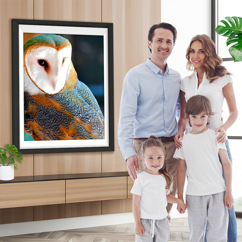 Hibou avec le Visage Blanc Broderie Diamant