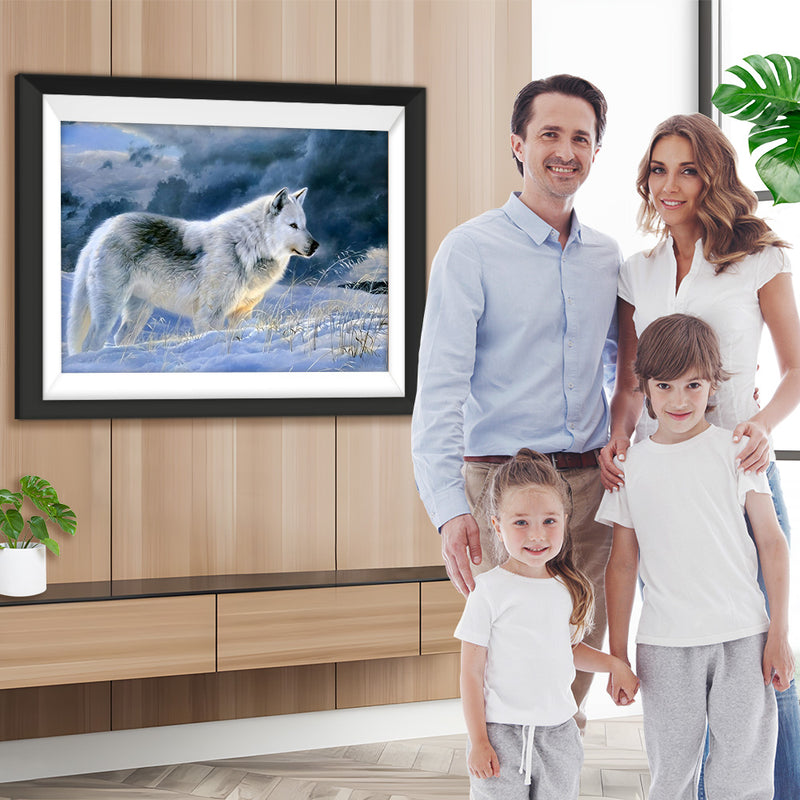 Loup Blanc et Noir dans la Neige Broderie Diamant