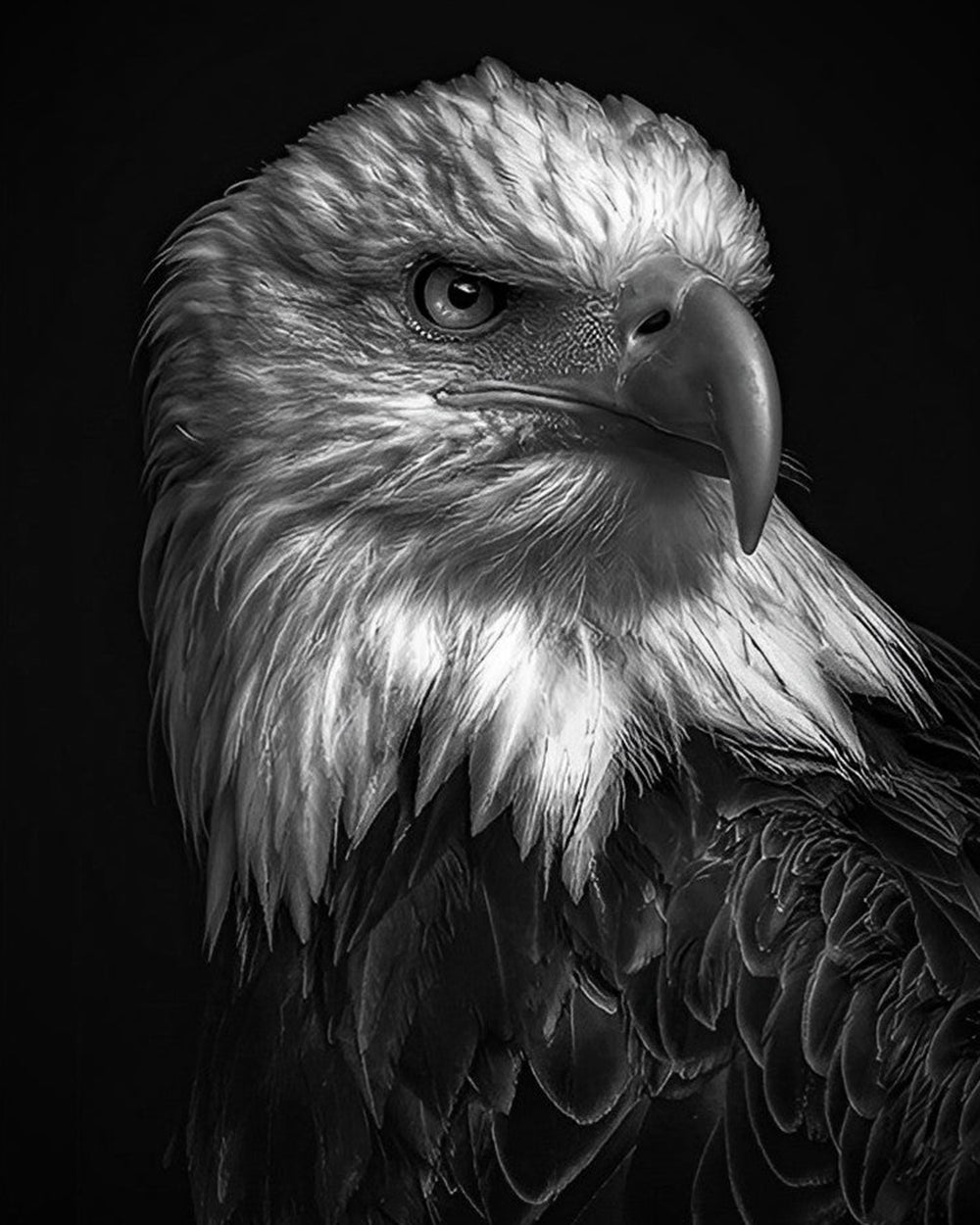 Aigle dans le Noir Broderie Diamant