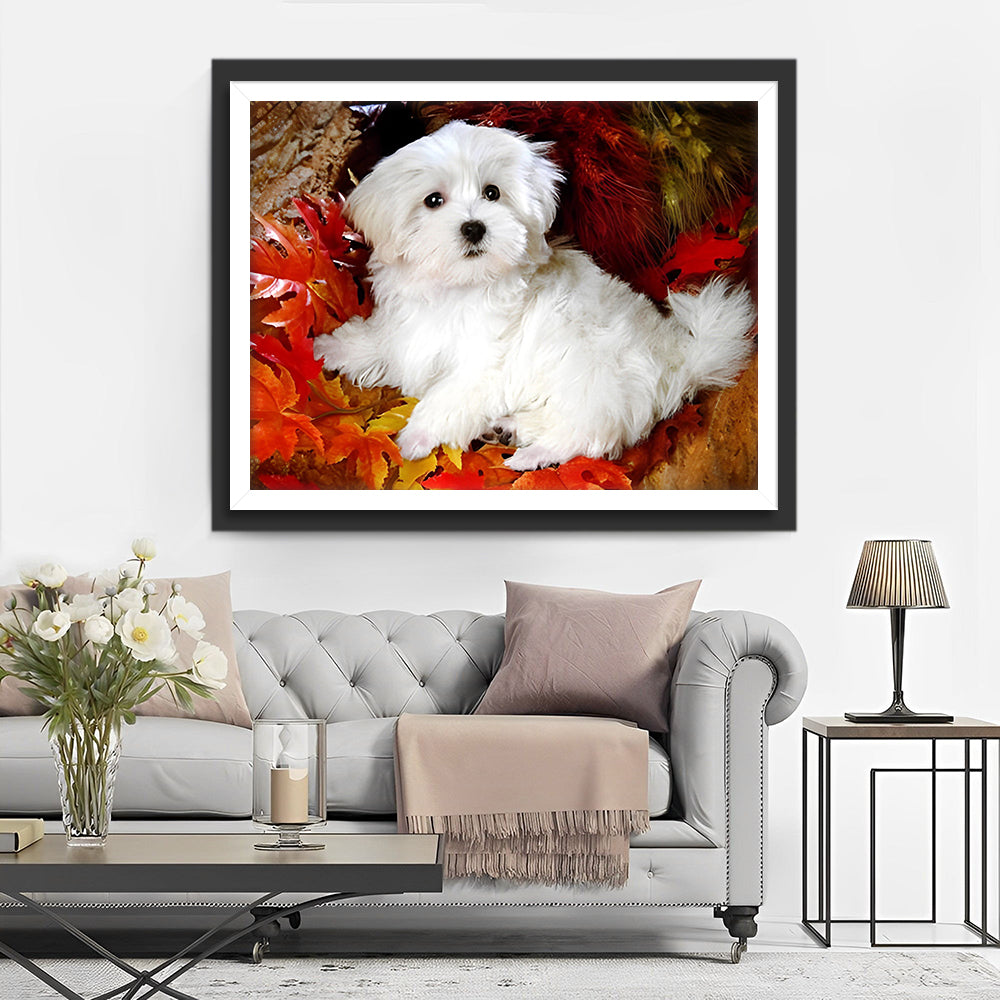 Bichon Maltais Blanc parmi les Feuilles d'Érable Rouges Broderie Diamant