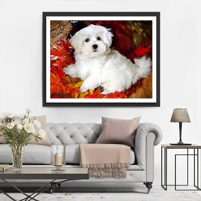 Bichon Maltais Blanc parmi les Feuilles d'Érable Rouges Broderie Diamant