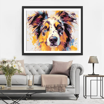 Border Collie Broderie Diamant