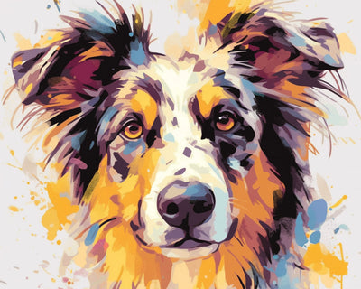 Border Collie Broderie Diamant