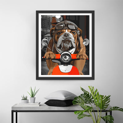 Bouledogue à Moto Broderie Diamant