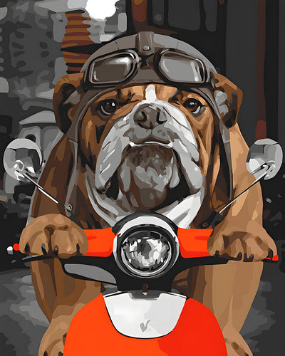 Bouledogue à Moto Broderie Diamant