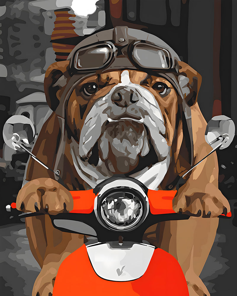 Bouledogue à Moto Broderie Diamant