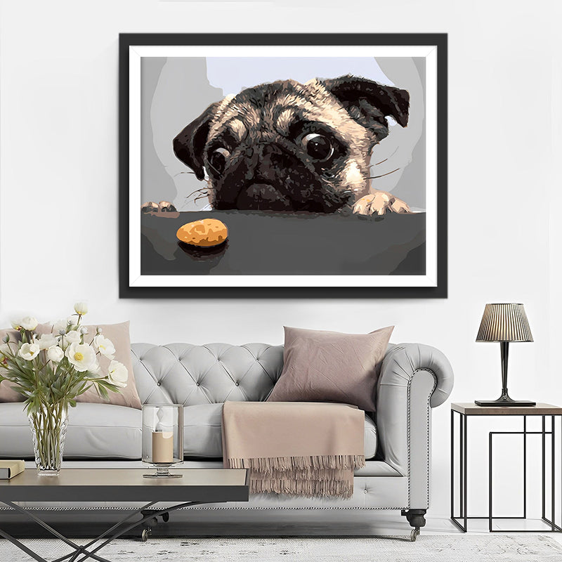 Bouledogue Affame Broderie Diamant