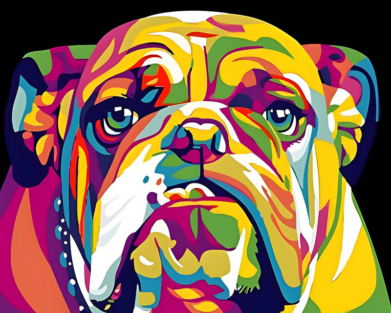 Bouledogue Coloré dans l&