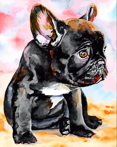 Bouledogue Noir Triste Broderie Diamant