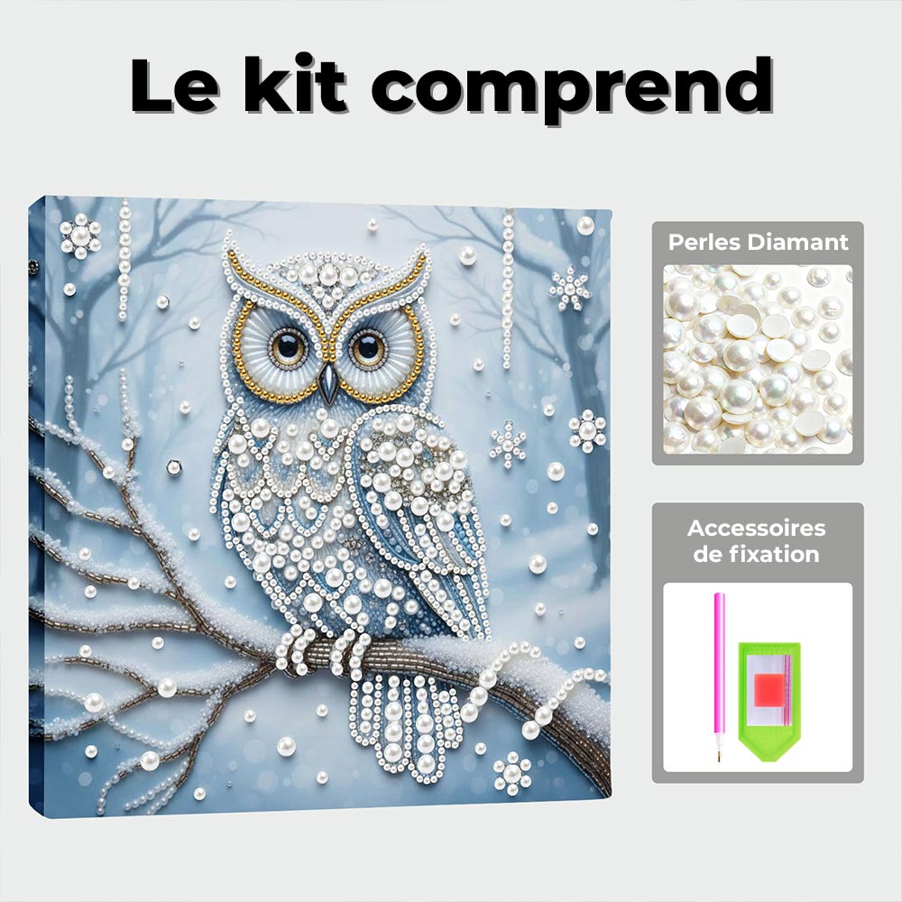 Broderie Diamant | Broderie Perle | Hibou dans la Forêt Enneigée