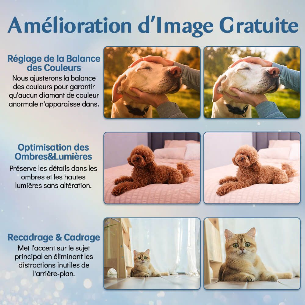 Broderie Diamant Personnalisée