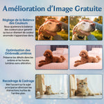 Broderie Diamant Personnalisée