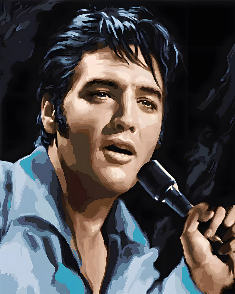 Chanteur Elvis Presley Broderie Diamant