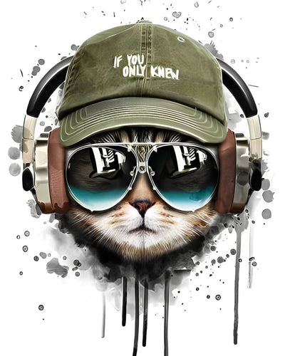 Chat avec Lunettes de Soleil et Chapeau Broderie Diamant