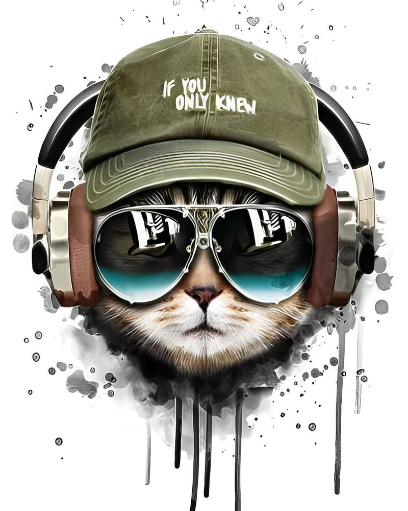 Chat avec Lunettes de Soleil et Chapeau Broderie Diamant