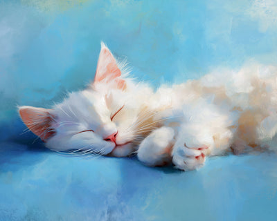 Chat Blanc Endormi Broderie Diamant