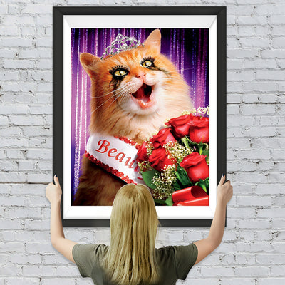Chat Champion de Beauté Broderie Diamant