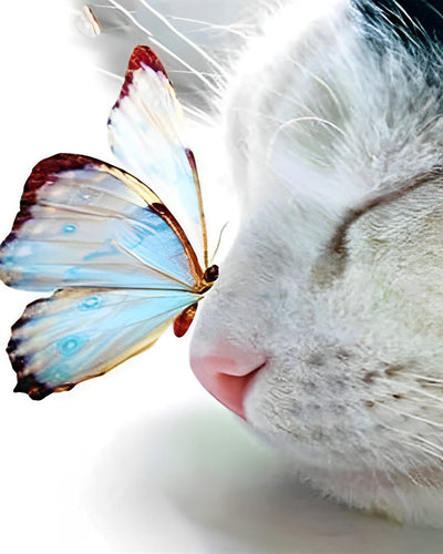 Chat et Papillon Bleu Broderie Diamant