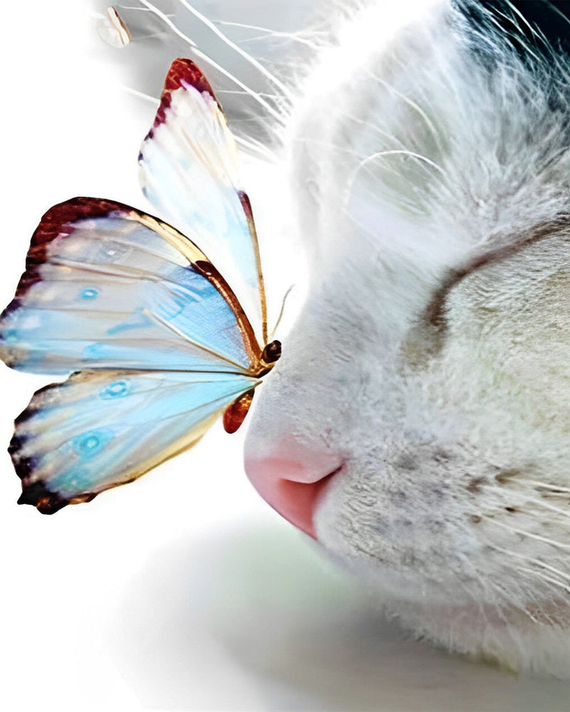 Chat et Papillon Bleu Broderie Diamant