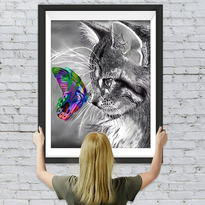 Chat Maine Coon et Papillon Coloré Broderie Diamant