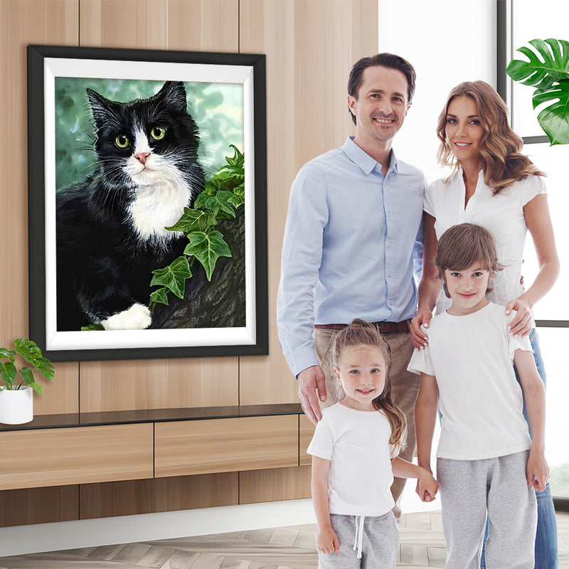 Chat Noir et Blanc dans l&