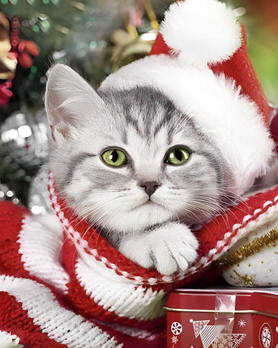 Chaton de Noël avec Chapeau Broderie Diamant