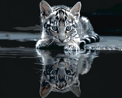 Chaton et Reflet dans l'Eau Broderie Diamant