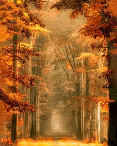 Chemin dans la Forêt d'Automne Broderie Diamant