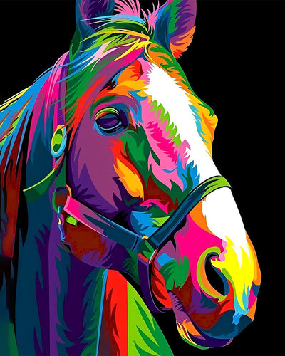 Cheval Coloré dans l’Obscurite Broderie Diamant