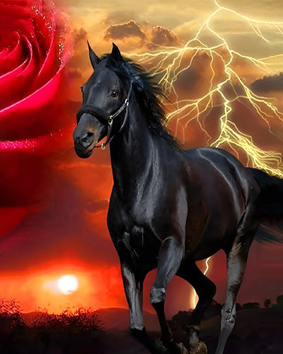Cheval Noir et Rose Rouge Broderie Diamant