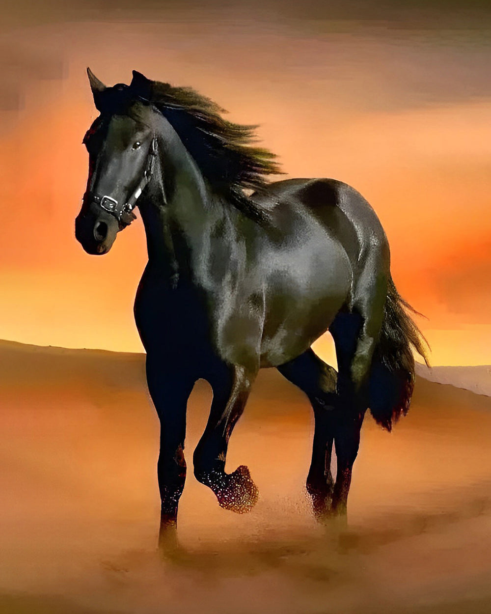Cheval Noir Galopant dans le Désert Broderie Diamant