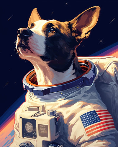 Chien Astronaute Broderie Diamant