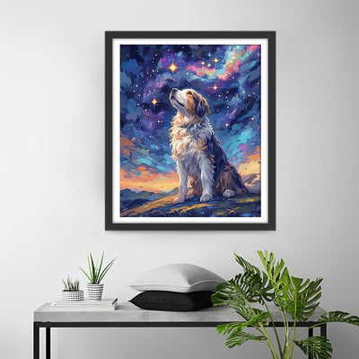 Chien Regardant les Étoiles Broderie Diamant
