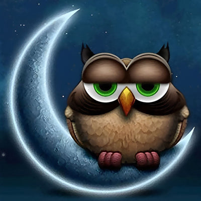 Chouette Qui Dort sur la Lune Broderie Diamant